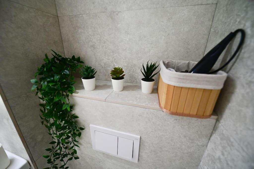 Flh - Apartament Damar Sibiu Buitenkant foto