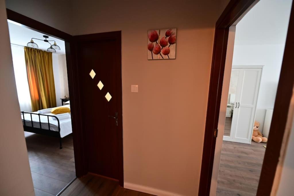 Flh - Apartament Damar Sibiu Buitenkant foto