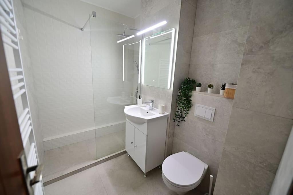 Flh - Apartament Damar Sibiu Buitenkant foto